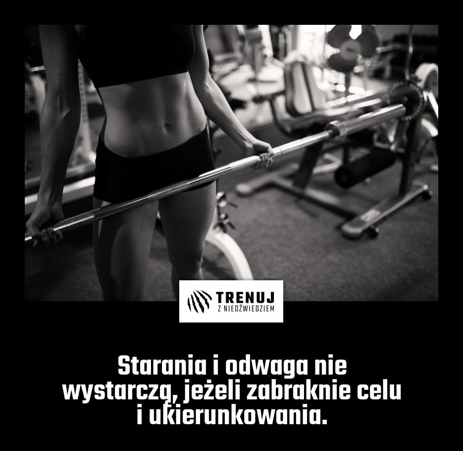 Starania i odwaga nie wystarczą, jeżeli zabraknie celu i ukierunkowania.