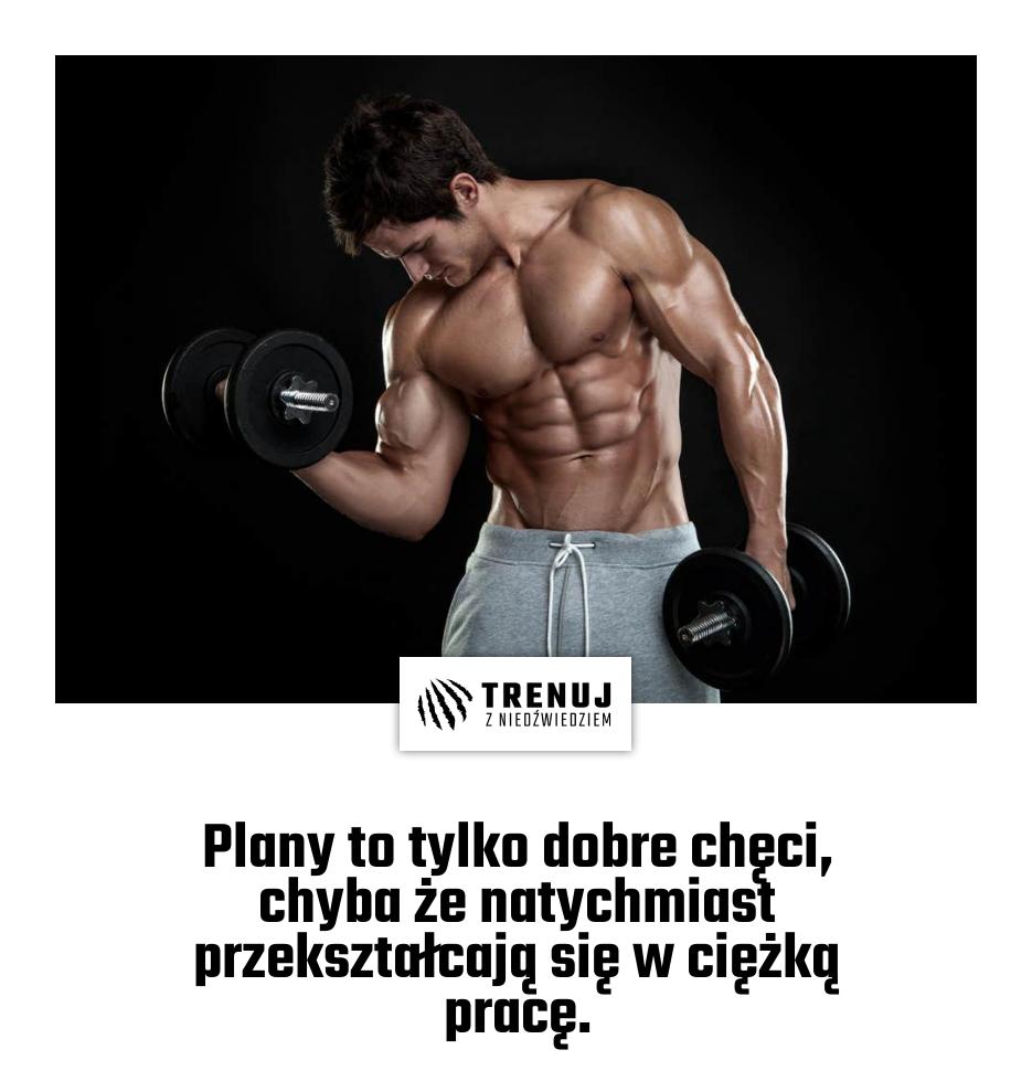 Plany to tylko dobre chęci, chyba że natychmiast przekształcają się w ciężką pracę.