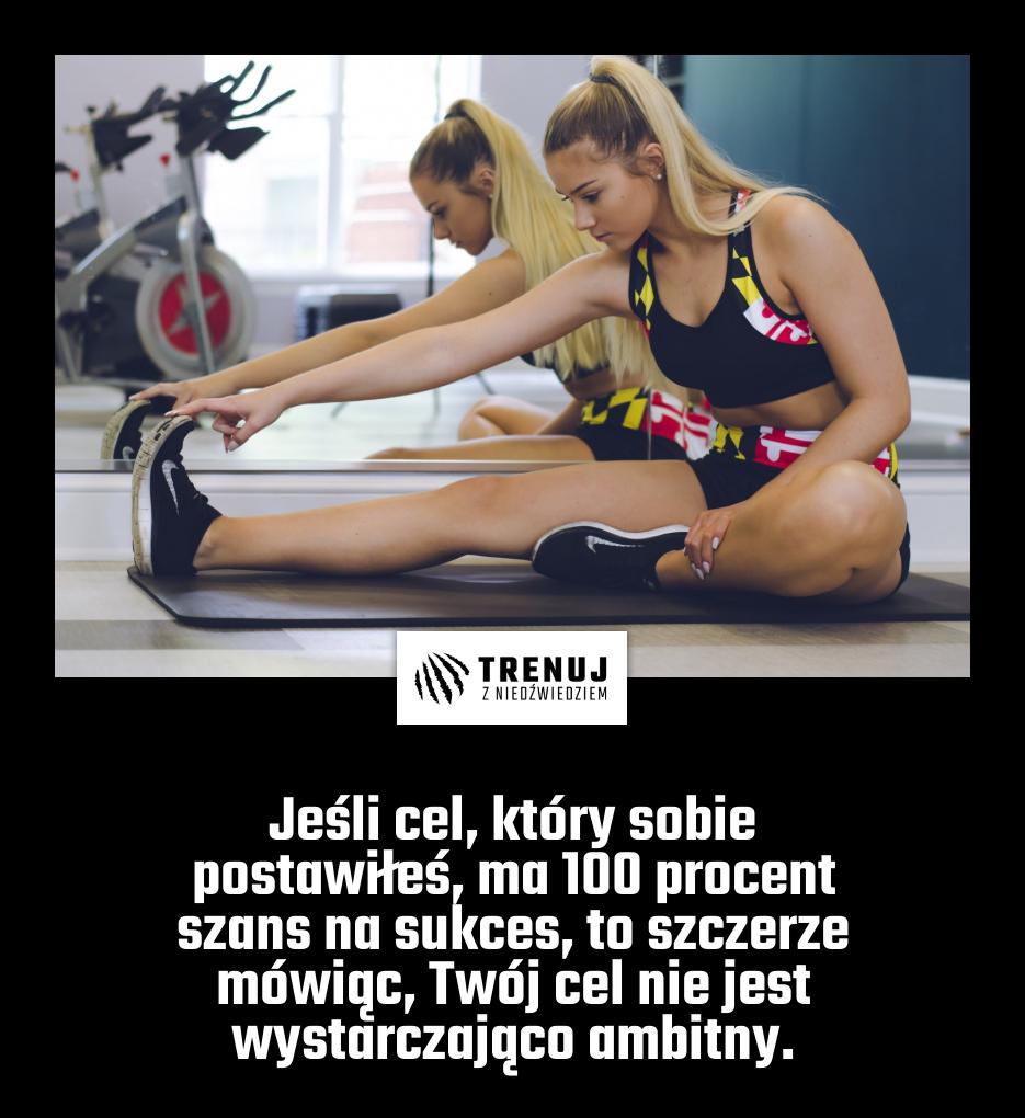 Jeśli cel, który sobie postawiłeś, ma 100 procent szans na sukces, to szczerze mówiąc, Twój cel nie jest wystarczająco ambitny.