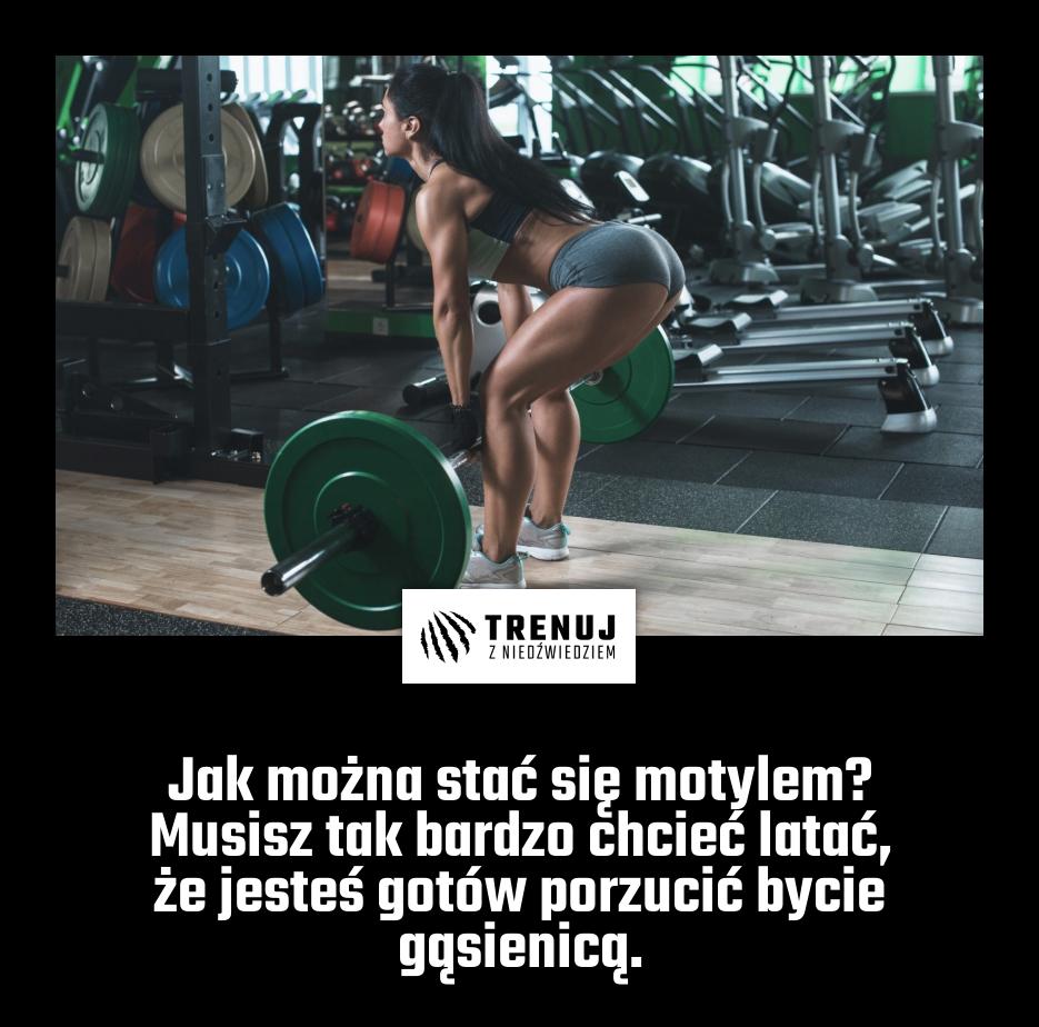 Jak można stać się motylem? Musisz tak bardzo chcieć latać, że jesteś gotów porzucić bycie gąsienicą.