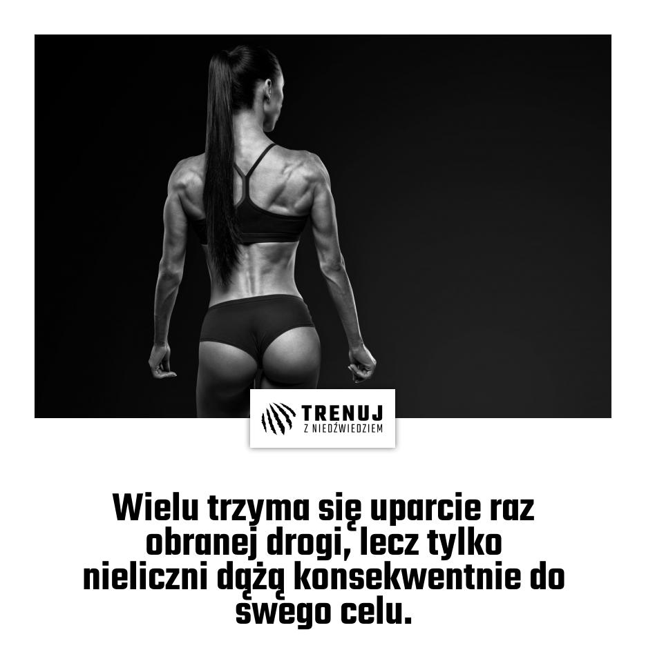 Wielu trzyma się uparcie raz obranej drogi, lecz tylko nieliczni dążą konsekwentnie do swego celu.