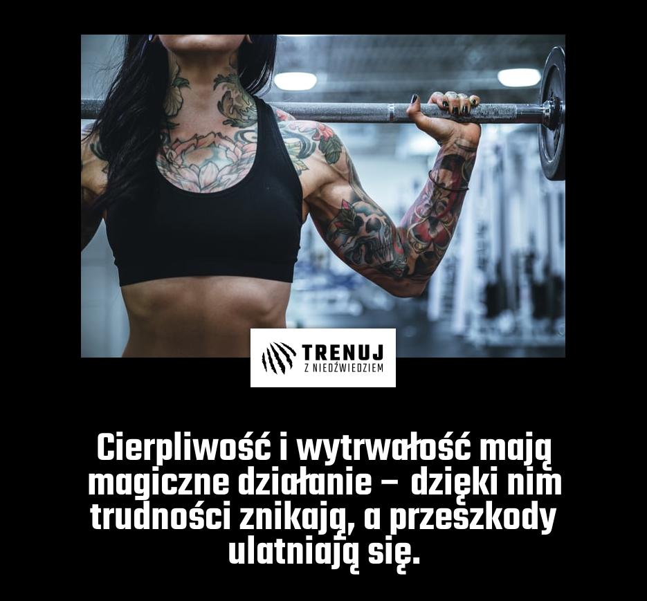 Cierpliwość i wytrwałość mają magiczne działanie – dzięki nim trudności znikają, a przeszkody ulatniają się.