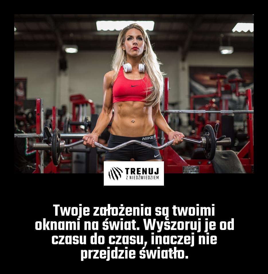 Twoje założenia są twoimi oknami na świat. Wyszoruj je od czasu do czasu, inaczej nie przejdzie światło.