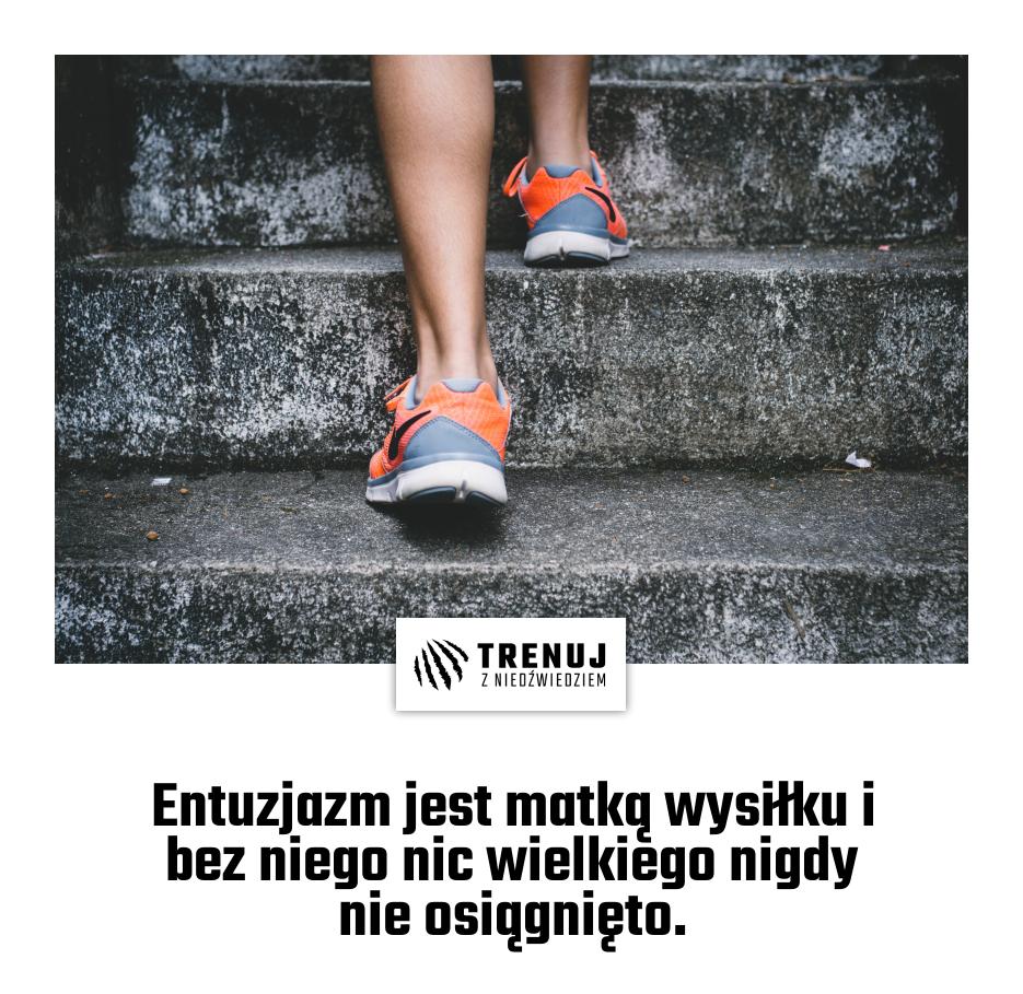 Entuzjazm jest matką wysiłku i bez niego nic wielkiego nigdy nie osiągnięto.