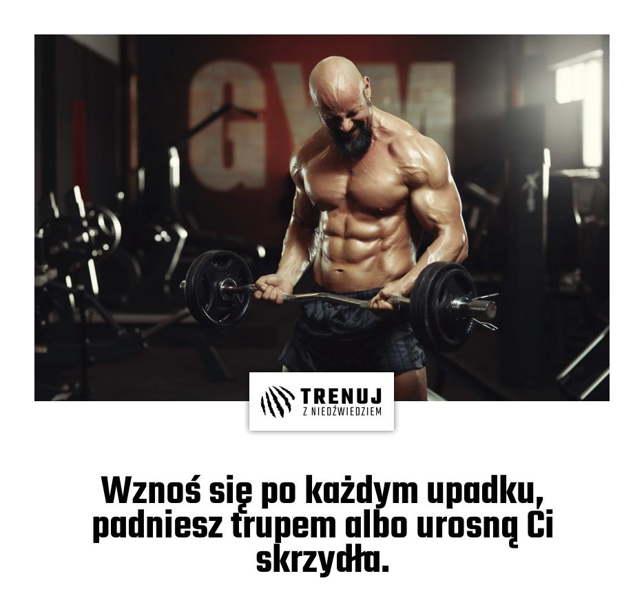 Wznoś się po każdym upadku, padniesz trupem albo urosną Ci skrzydła.