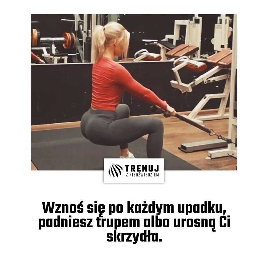 Wznoś się po każdym upadku, padniesz trupem albo urosną Ci skrzydła.